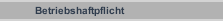 Betriebshaftpflicht